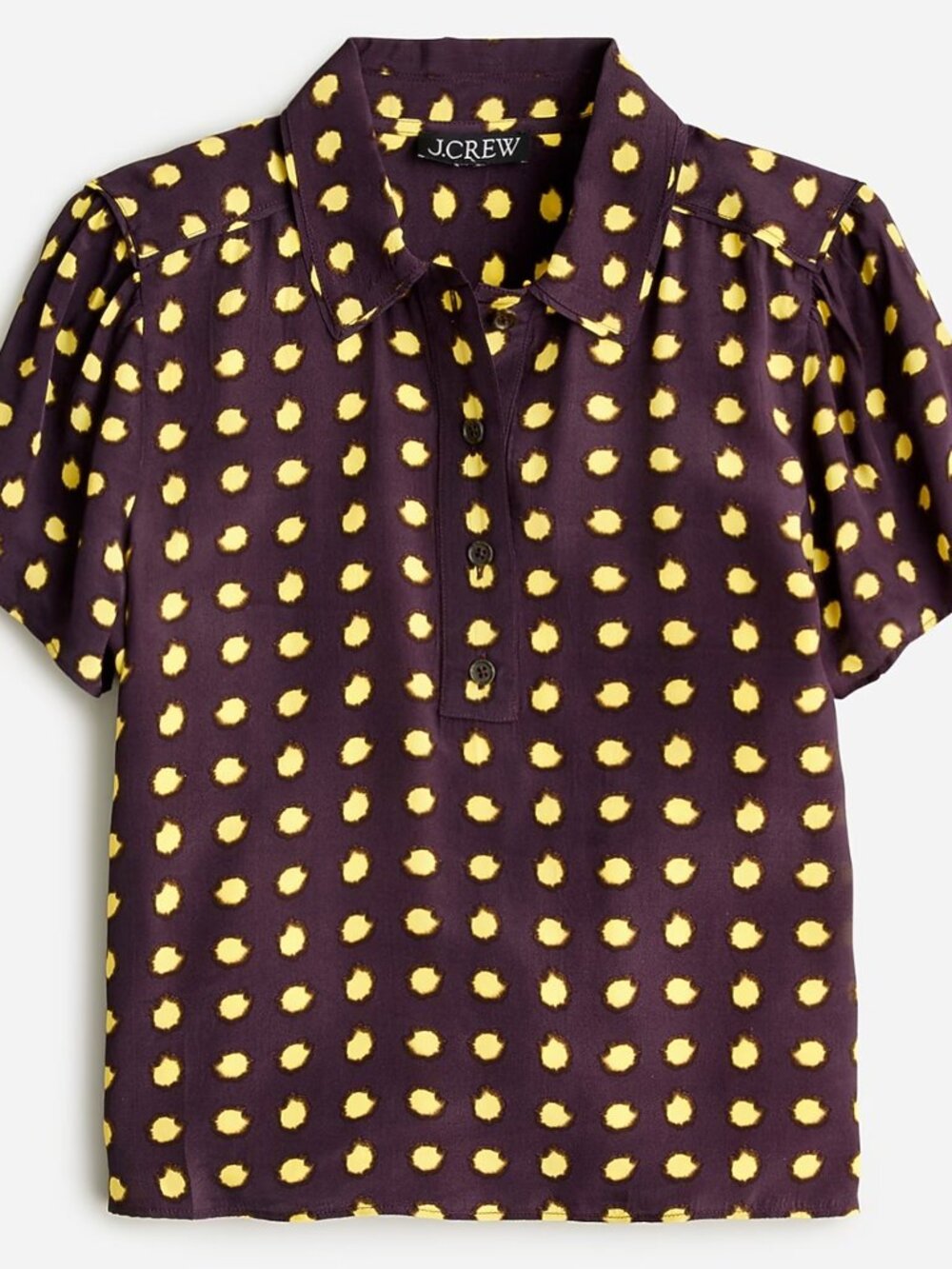 J Crew sheer popover top in dot crepe de chine